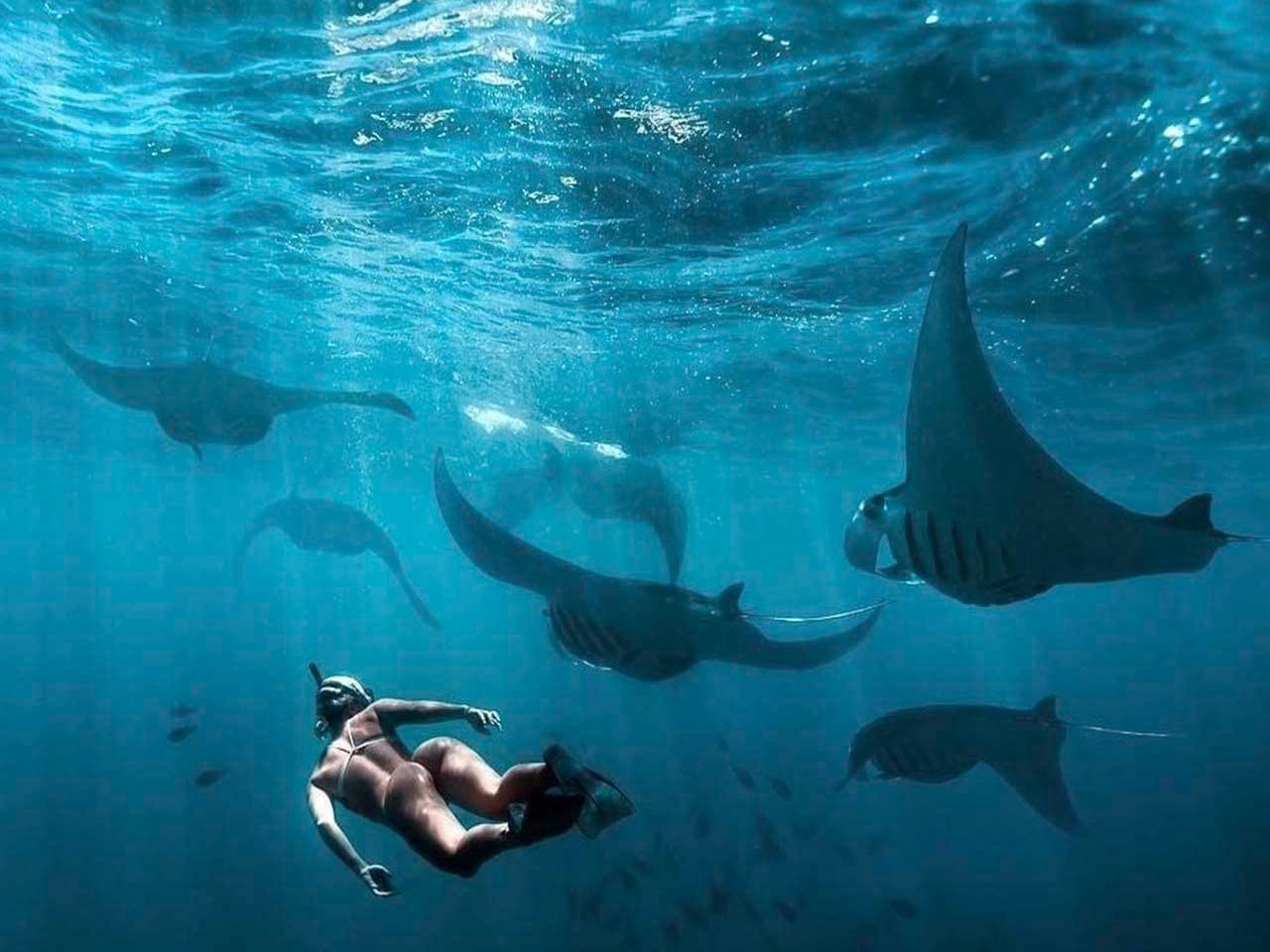 Nusa-Penida-Snorkeling1