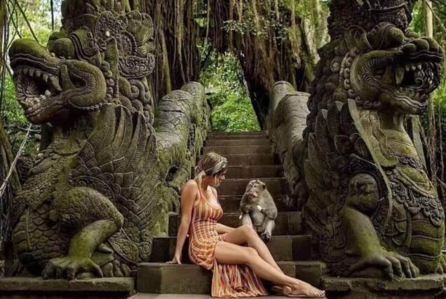 Ubud Kintamani Tour — 梯田、瀑布与火山
