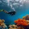 Blue Lagoon Diving Bali — Padang Bai Dive Site