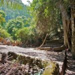Trunyan Village Tour & 2-Day Mount Batur Trek — Overnight