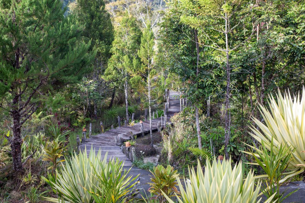 Baliem Valley Resort
